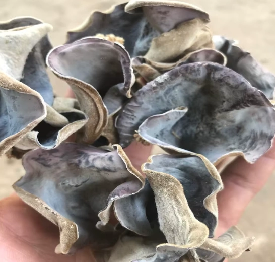 Dried Wood Ear Mushrooms (Jamur Kuping)