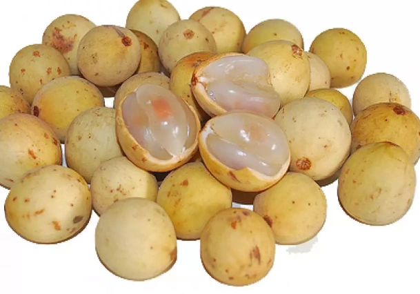 Honey-Sweet Palembang Duku