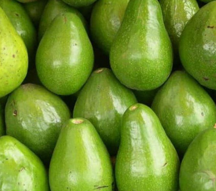Mentega Avocado