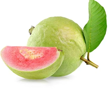 Thai Guava (Jambu Bangkok)