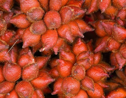Red-Fleshed Salak (Salak Merah)