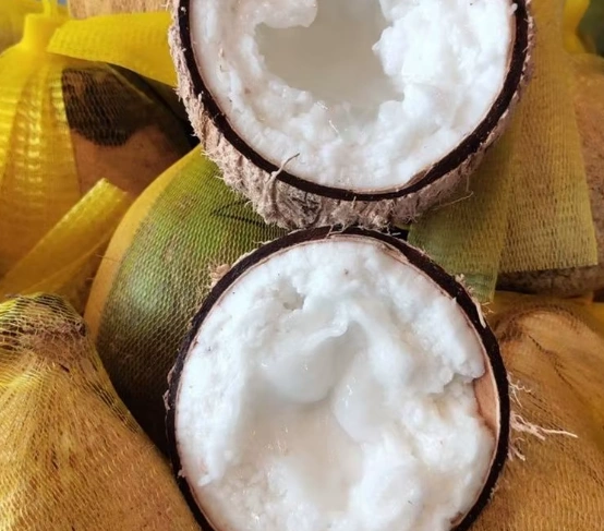 Kopyor Coconut