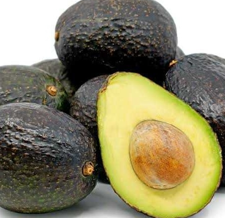 Hass Avocado