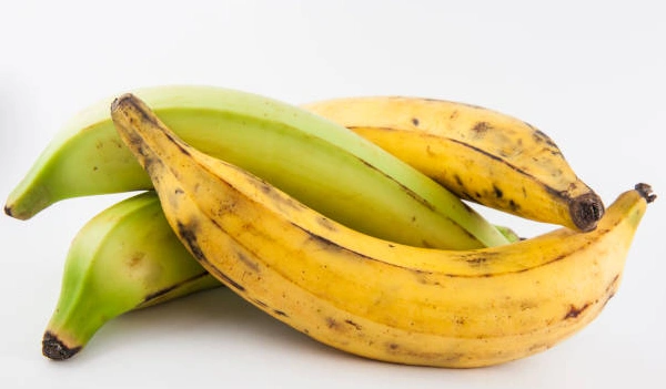 Tanduk Banana (Plantain)