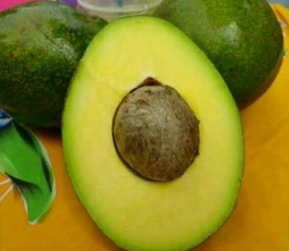 Wina Avocado