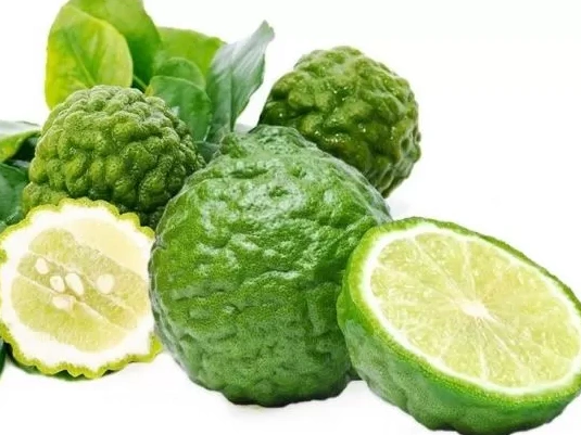 Kaffir Lime (Jeruk Purut)