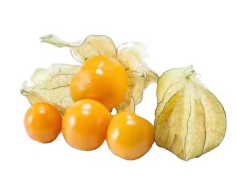 Goldenberry (Physalis)
