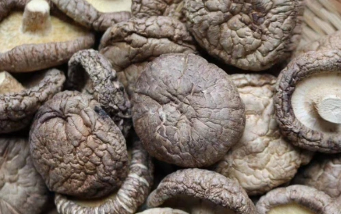 Dried Shiitake Mushrooms (Whole)