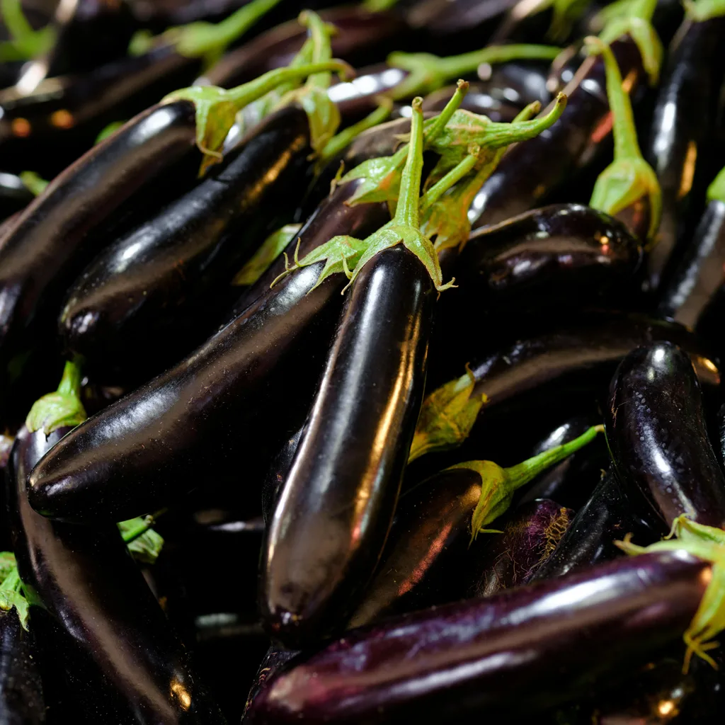 Fresh Purple Eggplants