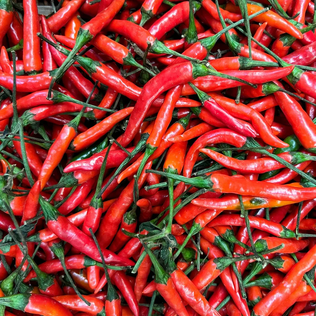 Red Bird's Eye Chili