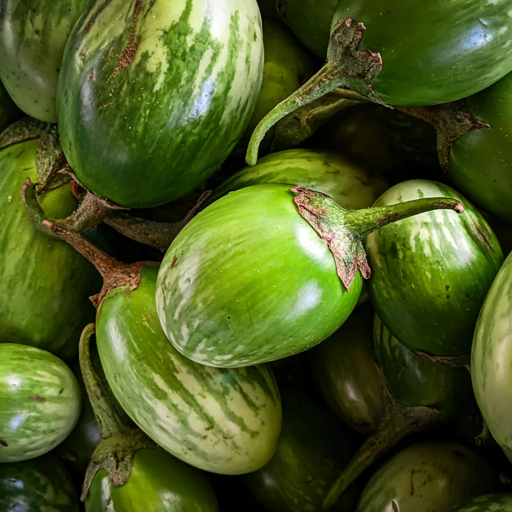 Green Thai Eggplants