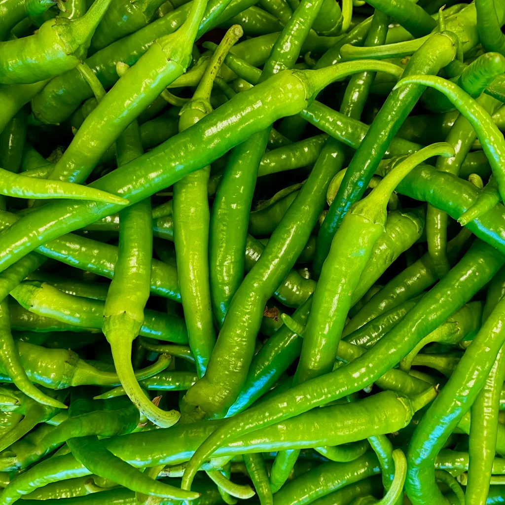 Fresh Green Chili Peppers
