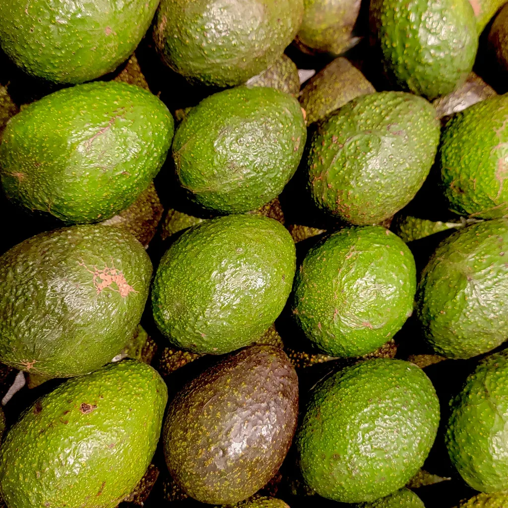Indonesian Butter Avocado (Alpukat Mentega)