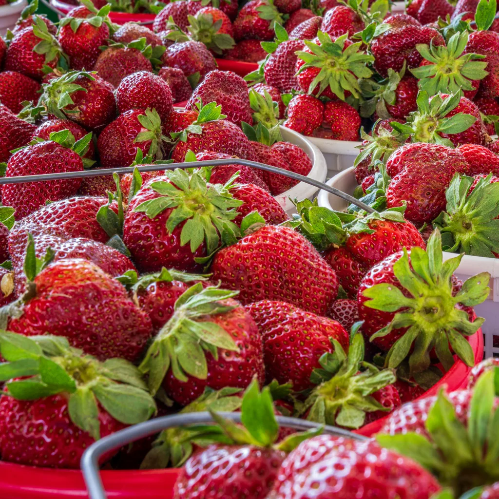 Fresh Highland Strawberries