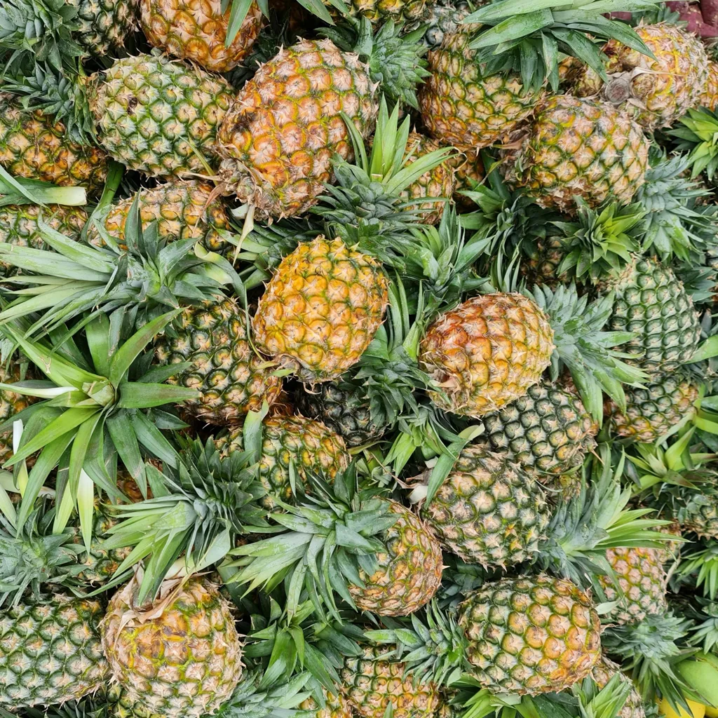 Fresh Golden Pineapple