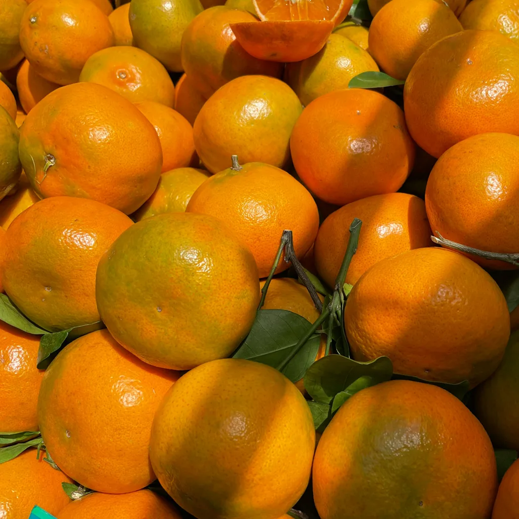 Fresh Mandarin Oranges