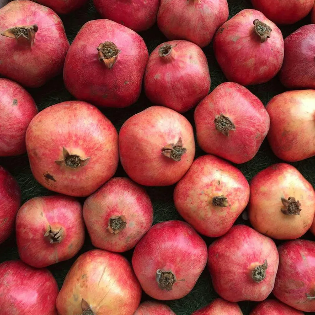 Fresh Pomegranates
