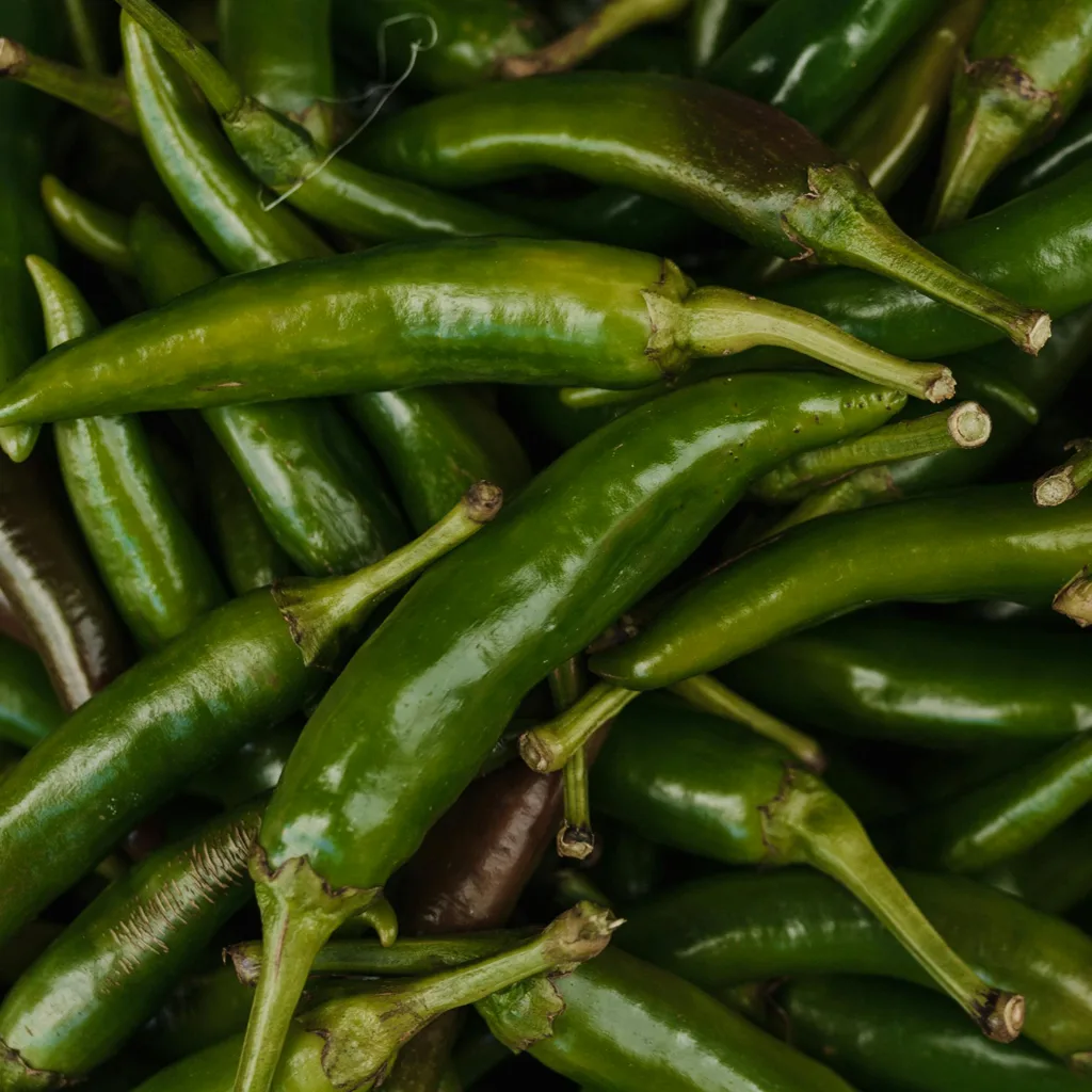 Green Cayenne Chili Peppers