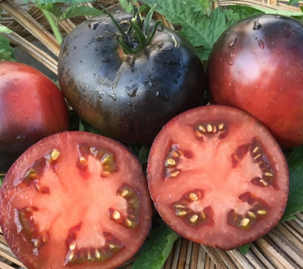 Heirloom Black Beauty Tomatoes