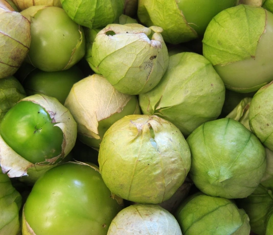 Fresh Tomatillos (Mexican Green Tomato)