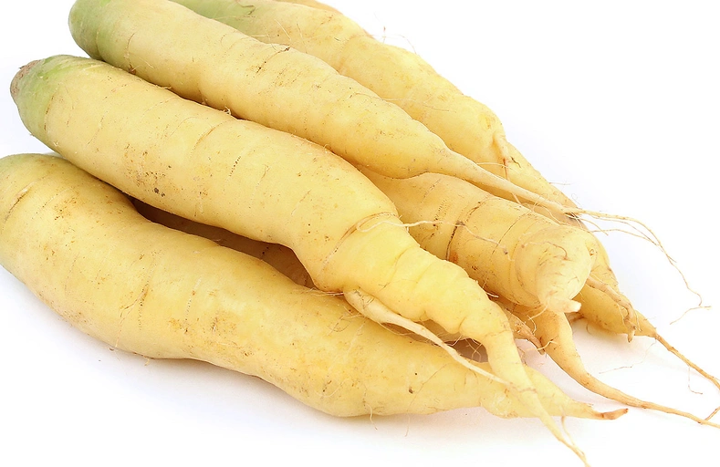 Arracacha (White Carrot/Peruvian Parsnip)