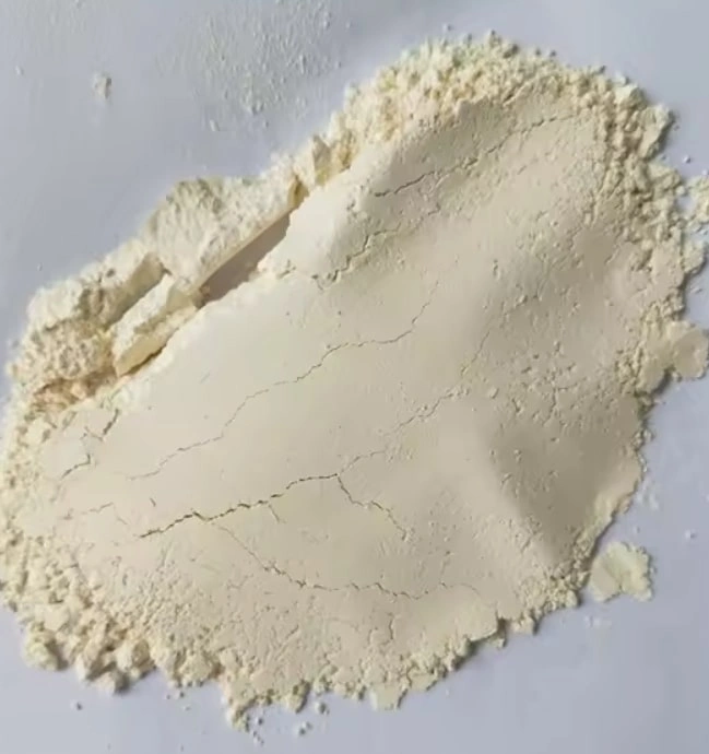 Dehydrated Garlic Powder (Premium)