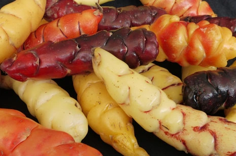 Ulluco (Andean Tuber)