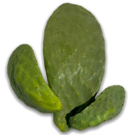 Nopales (Prickly Pear Cactus Pads)