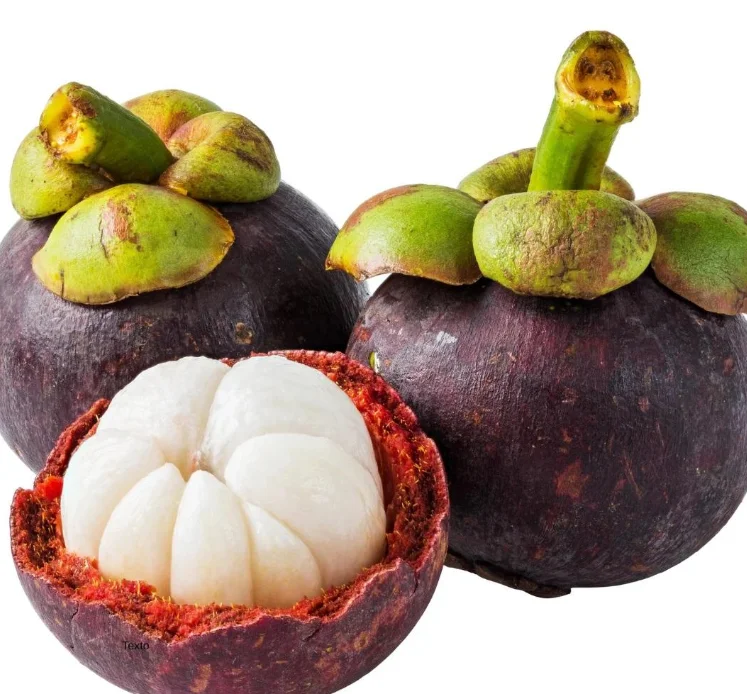 Export-Grade Queen Mangosteen