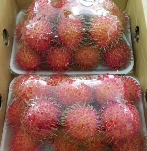 Fresh Medan Rambutan