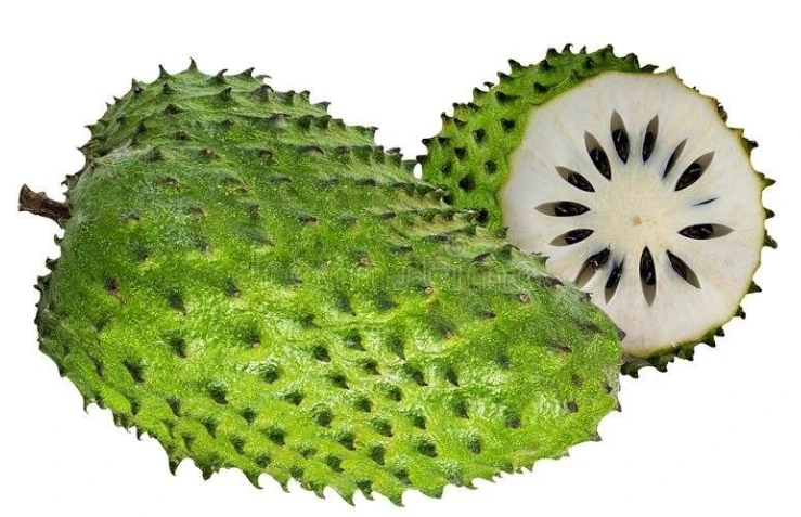 Sweet Soursop (Sirsak)