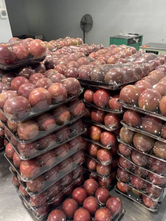 Fresh Purple Passionfruit