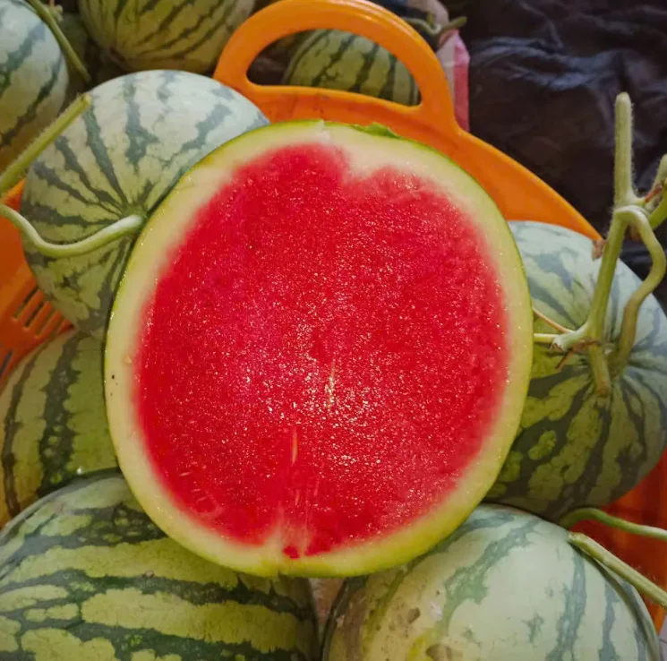 Fresh Red Watermelon (Seedless)