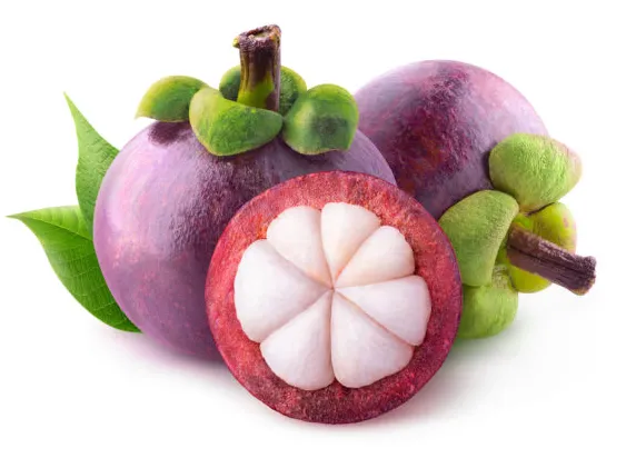 White Flesh Mangosteen