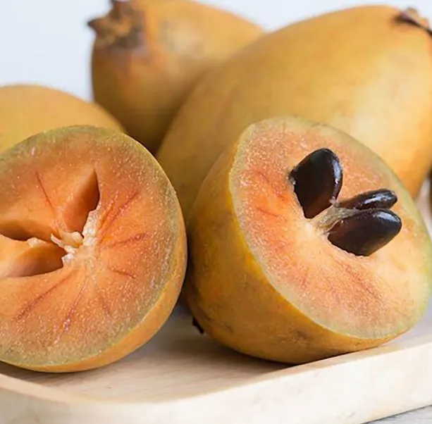 Sapodilla (Sawo)