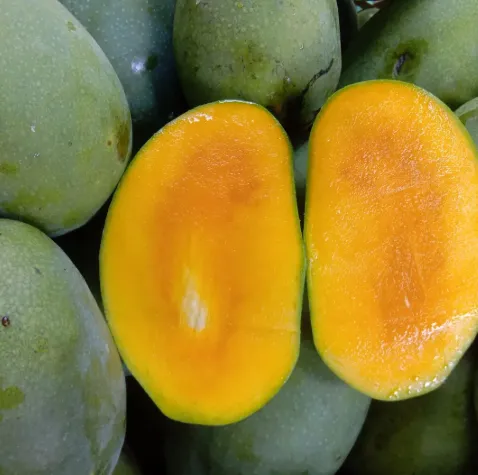 Aromatic Kweni Mango