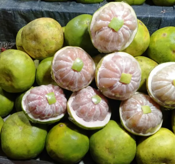 Red-Fleshed Pomelo (Jeruk Bali)