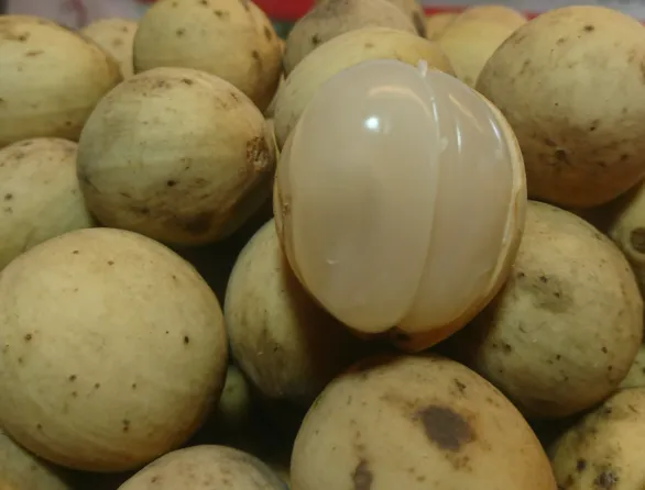 Palembang Duku Fruit