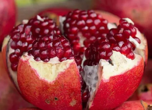 Red Pomegranate
