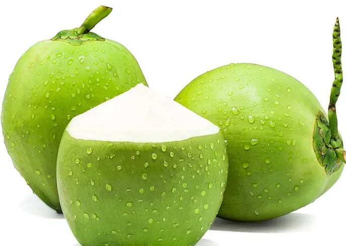 Tropical Green Coconut