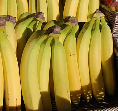 Sun-Ripened Kepok Banana