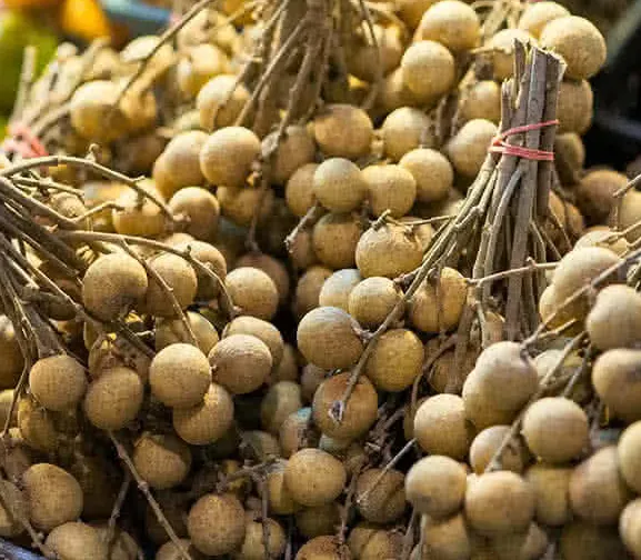 Sweet Longan (Kelengkeng)