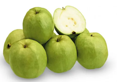 Crystal Guava (Jambu Kristal)