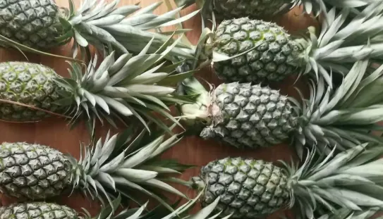 Sweet Honey Pineapple
