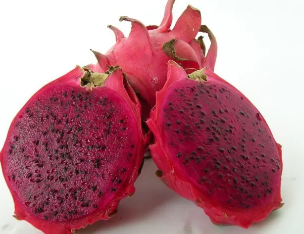 Tropical Red Dragon Fruit (Pitaya)
