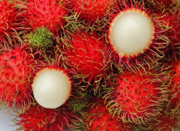 Rambutan Lebak Bulus