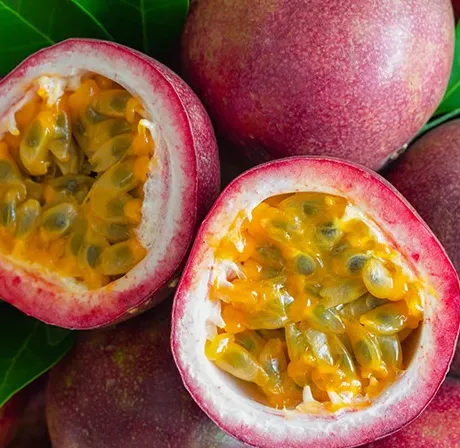 Tropical Red Plum