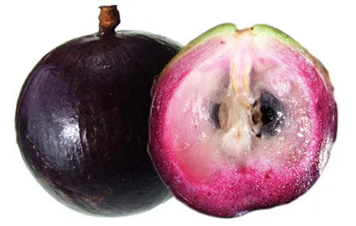 Red-Fleshed Star Apple (Cainito)