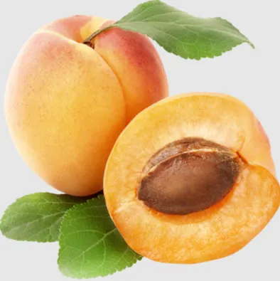 Tropical Apricot