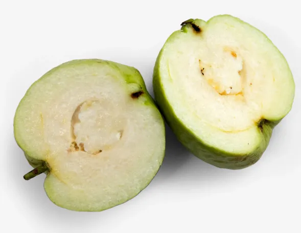 Seedless Crystal Guava